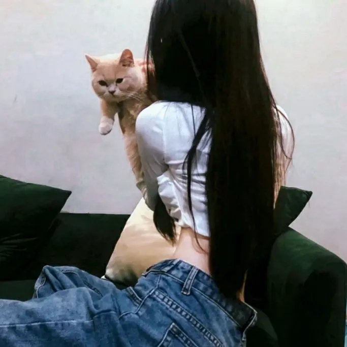 四条生命